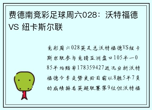 费德南竞彩足球周六028：沃特福德 VS 纽卡斯尔联